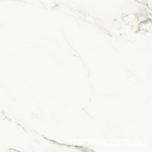 Керамогранит La Faenza Aesthetica AE CAP6 120 RM ( п.п.)120x120 Белый 