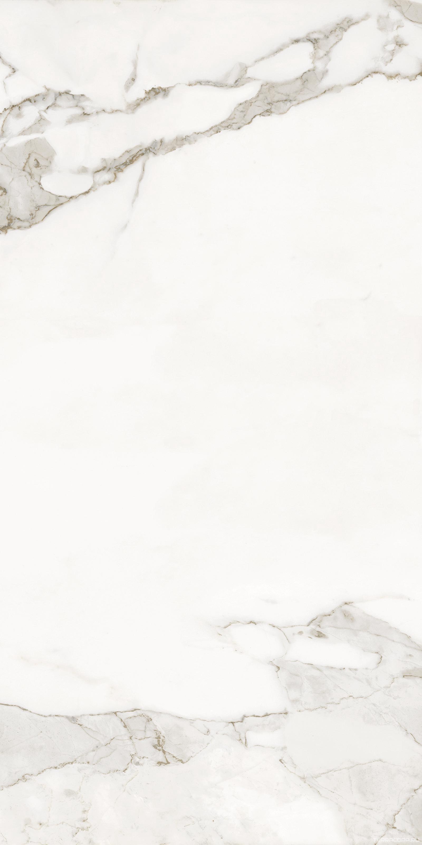 Керамогранит Kerranova Marble Trend Керамогранит K-1001/LR CALACATTA GOLD 60х120 Белый, фото 3