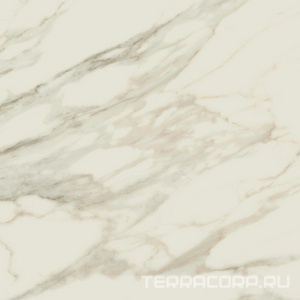 Керамогранит AtlasConcorde Россия EMPIRE Empire Arabescato 60x60 /ЭМПАИР АРАБЕСКАТО 60x60 Белый 