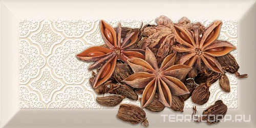 Decor Spices 04 B XX 10x20