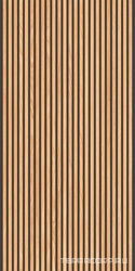 Canne Honey Black 60x120