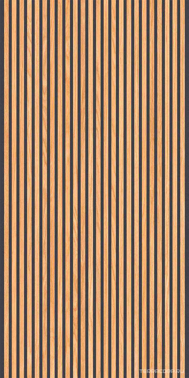 Canne Honey Black 60x120