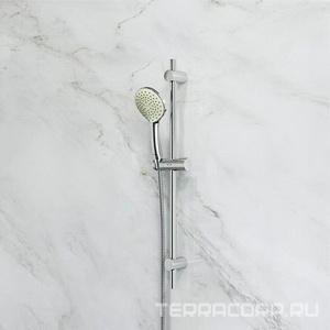 Душевой набор  (1 ф-ция d 110 мм, штанга 700, шланг 1 750 мм., крепления в компл ), цв. хром AMPM Gem F0190000