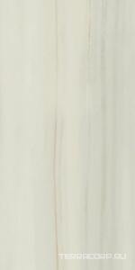 Керамогранит AtlasConcorde Россия EMPIRE Empire Lasa Rett 60x120 Lapp/ЭМПАИР ЛАСА РЕТ 60x120 ЛАП Белый 