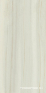 Керамогранит AtlasConcorde Россия EMPIRE Empire Lasa Rett 60x120 Lapp/ЭМПАИР ЛАСА РЕТ 60x120 ЛАП Белый 