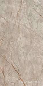 Керамогранит AtlasConcorde Россия EMPIRE Empire Silver Root 60x120/ЭМПАИР СИЛЬВЕР РУТ 60x120 Серый 