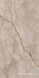 Керамогранит AtlasConcorde Россия EMPIRE Empire Silver Root 60x120/ЭМПАИР СИЛЬВЕР РУТ 60x120 Серый 