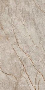 Керамогранит AtlasConcorde Россия EMPIRE Empire Silver Root 60x120/ЭМПАИР СИЛЬВЕР РУТ 60x120 Серый 