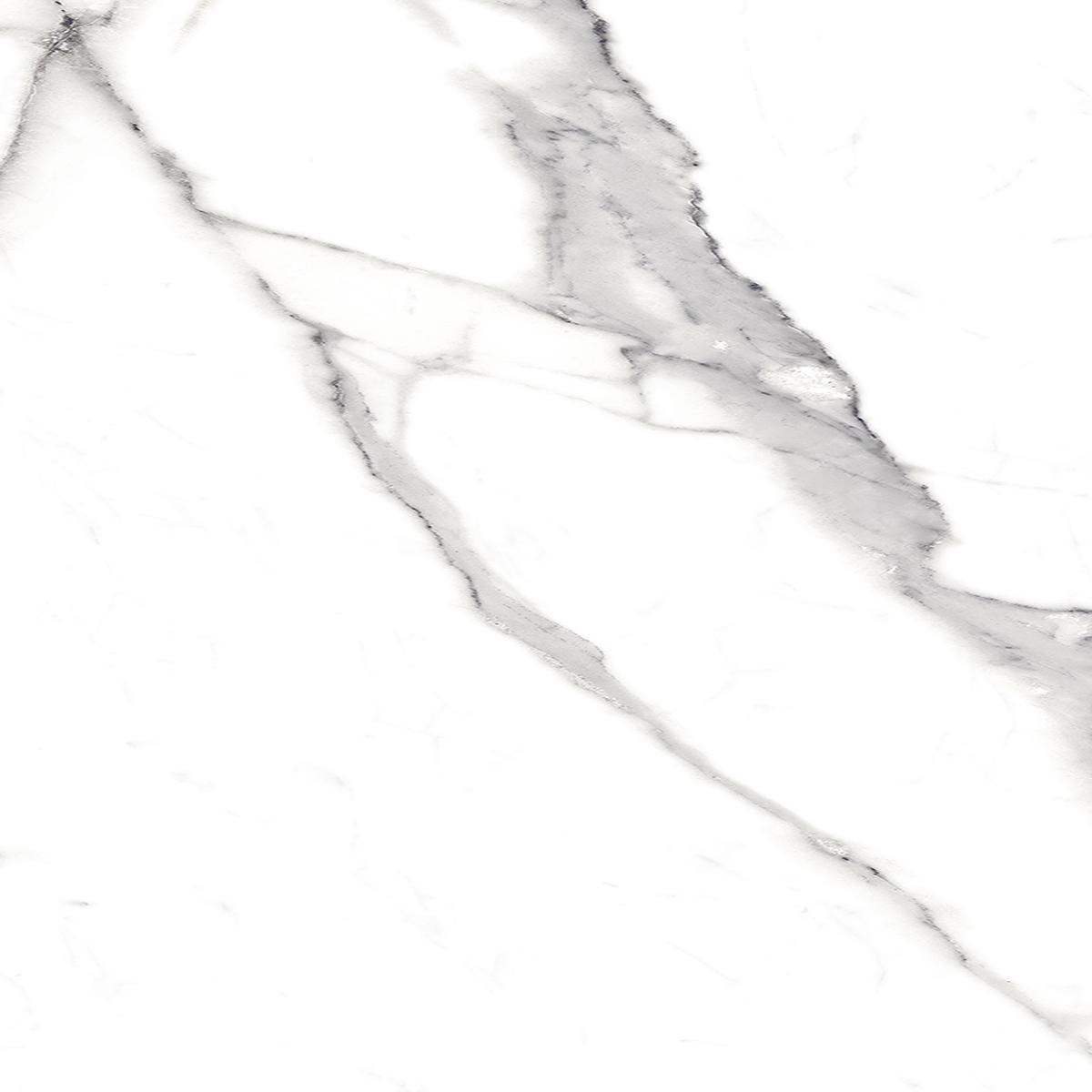 Керамогранит FAP Ceramiche Roma Statuario Matt RT I60x60 Серый, фото 6