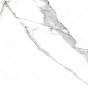 Керамогранит FAP Ceramiche Roma  Statuario Matt RT I60x60 Серый 