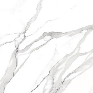 Керамогранит FAP Ceramiche Roma  Statuario Matt RT I60x60 Серый 