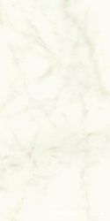 Marvel Calacatta Delicato Matt |60x120