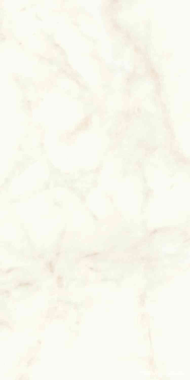 Marvel Calacatta Delicato Matt |60x120