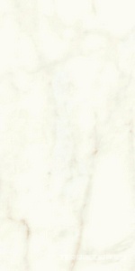 Керамогранит Atlas Concorde Italy Marvel Shine Marvel Calacatta Delicato Matt 60x120 Белый 