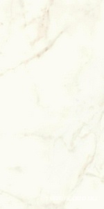 Керамогранит Atlas Concorde Italy Marvel Shine Marvel Calacatta Delicato Matt 60x120 Белый 