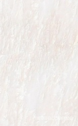 Пионы светло-бежевая ZZ l20x45