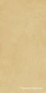 Керамогранит Imola Retina RTN6 SENAP12 RM 60x120 Желтый 