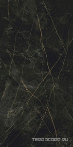 Керамогранит Idalgo Гранит Сандра  черно-оливковый LLR лекгое лапп. 60x120 Черный 