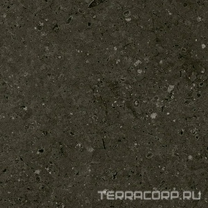 Керамогранит Гранитея Аркаим Arkaim Black G215/ черный мат . 60x60 Черный 