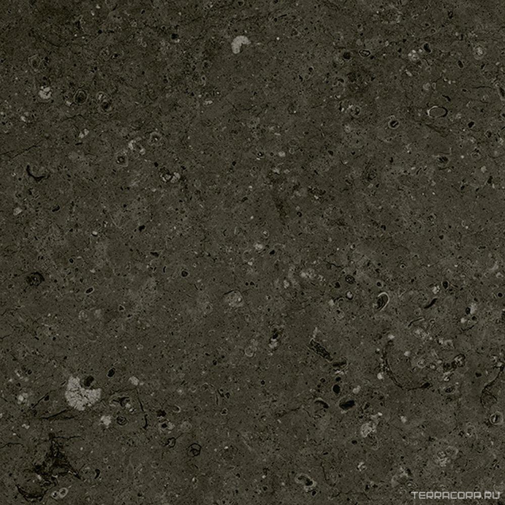 Керамогранит Гранитея Аркаим Arkaim Black G215/ черный мат . 60x60 Черный, фото 5