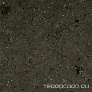 Керамогранит Гранитея Аркаим Arkaim Black G215/ черный мат . 60x60 Черный 