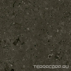 Керамогранит Гранитея Аркаим Arkaim Black G215/ черный мат . 60x60 Черный 