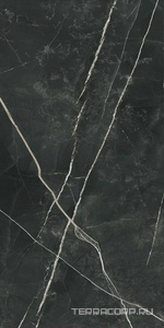 Керамогранит Atlas Concorde Italy Marvel Gala Marvel Calacatta Black  Lappato 60x120 Черный 