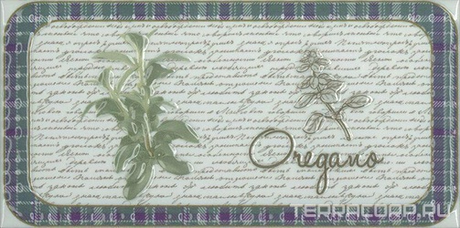 Керамическая плитка Absolut Keramika Monocolor 10x20 Decor Clasical Oregano 10x20 Комбинированный 