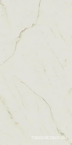 Керамогранит AtlasConcorde Россия EMPIRE Empire Calacatta Diamond Rett 60x120 Lapp/ЭМПАИР КАЛАК. ДАЙМОНД РЕТ 60x120 ЛАП Белый 