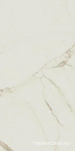 Керамогранит AtlasConcorde Россия EMPIRE Empire Calacatta Diamond Rett 60x120 Lapp/ЭМПАИР КАЛАК. ДАЙМОНД РЕТ 60x120 ЛАП Белый 