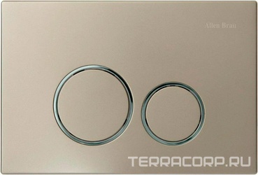 Кнопка двойного смыва, пневм., для инсталляции д/унитаза, (пластик цв.никель, кольца кнопок цв.хром), Priority ZZ