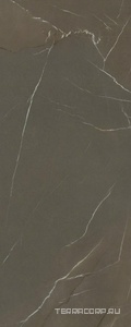 Керамогранит Laminam IN-SIDE Pietra Piasentina Taupe 5,6 мм ZZ 120x300 Серый 