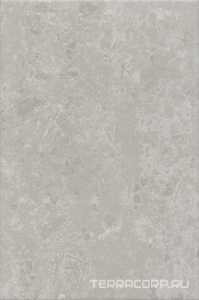 Керамическая плитка Kerama Marazzi Ферони  серый матовый 20x30 Серый 