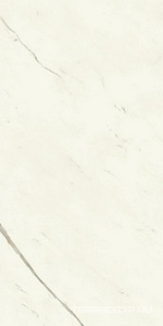 Керамогранит Atlas Concorde Italy Marvel X Marvel Calacatta Sublime Lappato 60x120 Белый 