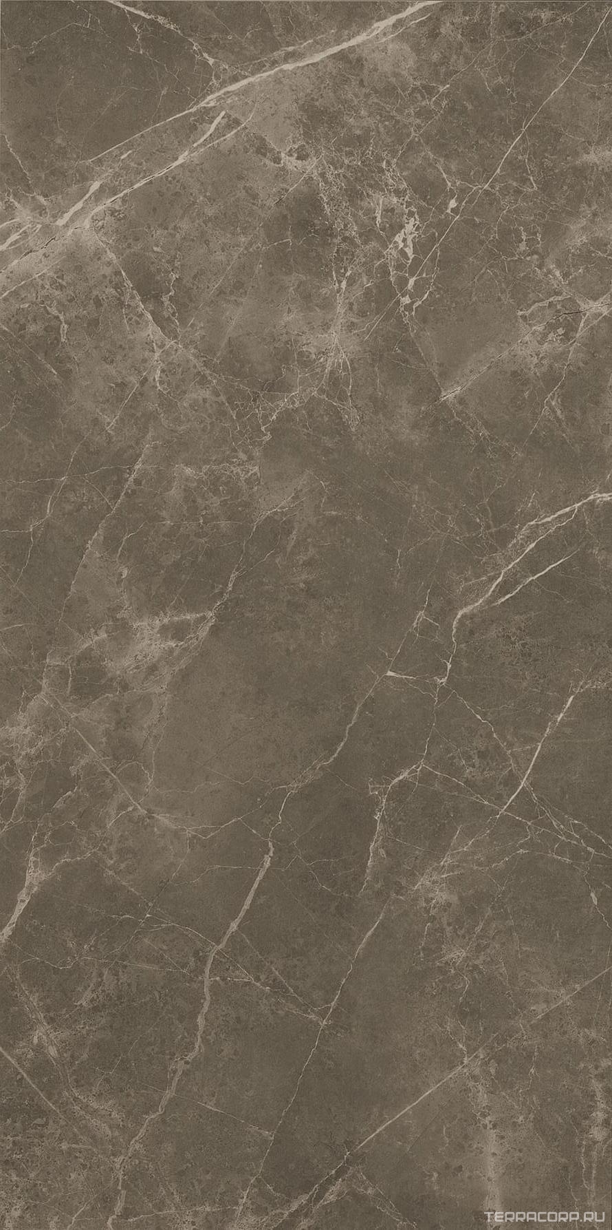Керамическая плитка FAP Ceramiche Roma 50 I mperiale Mat 50x120 Комбинированный, фото 5