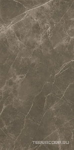 Керамическая плитка FAP Ceramiche Roma  50  I mperiale Mat 50x120 Комбинированный 