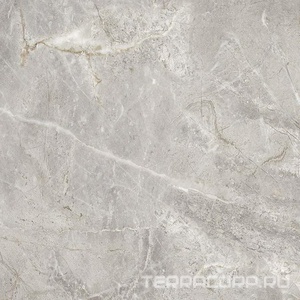 Керамогранит ProGRES Ceramica Matera  серый гранильXX 60х60 Серый 
