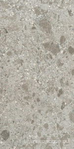 Керамогранит Ariostea Fragmenta Grigio Luminoso Soft 60x120 Серый 