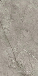 Marvel Meraviglia Silver Majestic  Lapp. ZZ 60x120