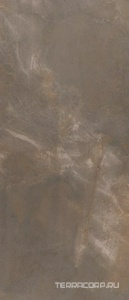 Керамогранит La Faenza Trex3 TREX6 278TO RM (п.п.) 120x278 Коричневый 