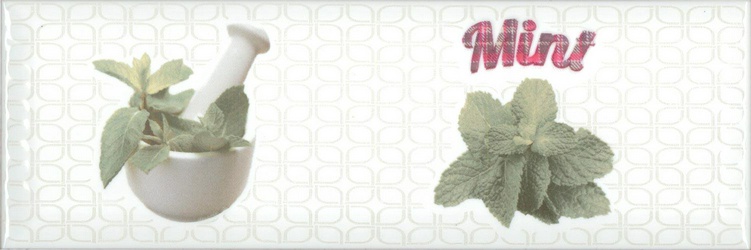 Decor Modern Herbs Mint XX |10x30
