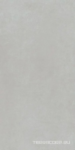 Керамогранит AtlasConcorde Россия RINASCENTE Rinascente Pearl 60x120/Ринашенте Перл 60X120 Серый 