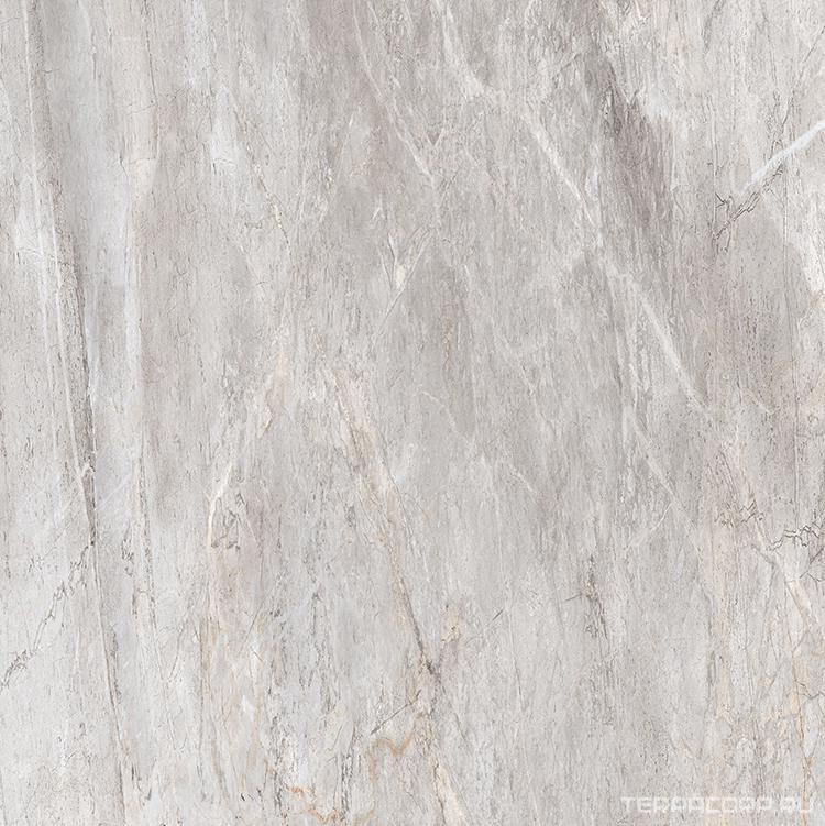Керамогранит Alpas Euro Eco Marble 6513 Polished 60x60 Серый, фото 6