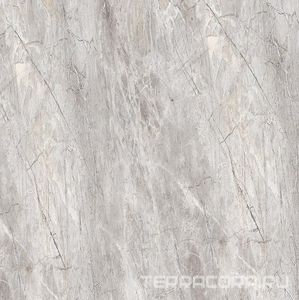 Керамогранит Alpas Euro Eco Marble  6513 Polished 60x60 Серый 