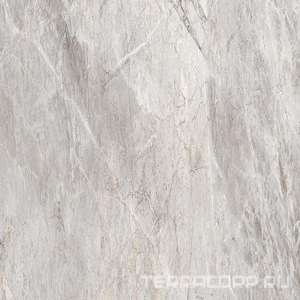 Керамогранит Alpas Euro Eco Marble  6513 Polished 60x60 Серый 