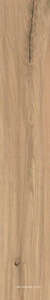 Керамогранит Atlas Concorde Italy Log  Moon Oak Forest 20x120  Бежевый 