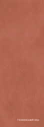 Calce Terracotta 5,6  ZZ 100x300