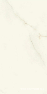 Керамогранит Atlas Concorde Italy Marvel X Marvel Calacatta Apuano Lappato  60x120 Белый 