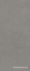 Керамогранит La Faenza VIS 6 278MG RM (п.п.) 120x278 Серый 