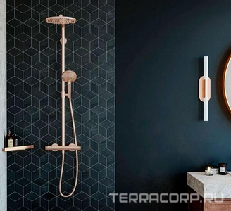 Полочка-мыльница решетка, угловая, 148х305хh26мм, (цв.шлиф.бронза),  ZZ Hansgrohe AddStoris 41741140